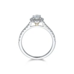 Chisholm Hunter Platinum Oval Cut 0.50ct Diamond Halo Ring -Chisholm Hunter 1 001 22 0013c