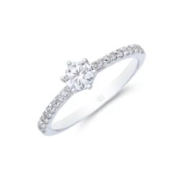 Chisholm Hunter 9ct White Gold 0.50ct Diamond Solitaire Ring