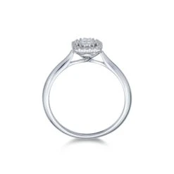 Chisholm Hunter 9ct White Gold Round Brilliant 0.26ct Diamond Ring -Chisholm Hunter 1 001 78 0141c