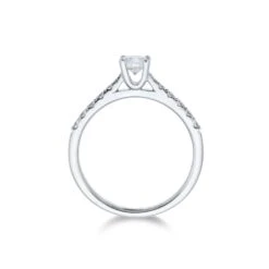 Chisholm Hunter Platinum Brilliant Cut 0.45ct Diamond Solitaire Ring 12 Chisholm Hunter Platinum Brilliant Cut 0.45ct Diamond Solitaire Ring -Chisholm Hunter 1 001 81 0191c