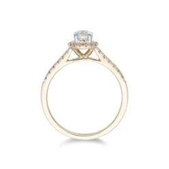 Chisholm Hunter 18ct Yellow Gold Brilliant Cut 0.50ct Diamond Halo Solitaire Ring -Chisholm Hunter 1 001 93 0043c