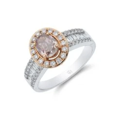 Chisholm Hunter 18ct 2 Colour Gold Brilliant Cut 1.75ct Diamond Halo Ring