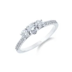 Chisholm Hunter 18ct White Gold Brilliant Cut 0.65ct Diamond Three Stone Ring