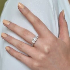 Chisholm Hunter Platinum Brilliant Cut 1.20ct Diamond Halo Three Stone Ring -Chisholm Hunter 1 004 03 0163 lifestyle1