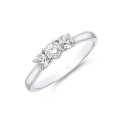 Chisholm Hunter Platinum 'Lotus' Brilliant Cut 0.50ct Diamond Three Stone Ring