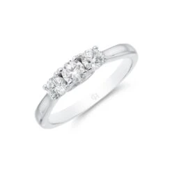 Chisholm Hunter Platinum 'Infinity' Brilliant Cut 0.50ct Diamond Three Stone Ring