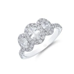 Chisholm Hunter Platinum Brilliant Oval Cut 1.37ct Halo Diamond Three Stone Ring