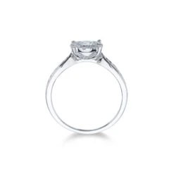 Chisholm Hunter 18ct White Gold Brilliant Cut 0.75ct Diamond Cluster Ring -Chisholm Hunter 1 008 02 0745c