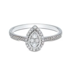 Chisholm Hunter 18ct White Gold Brilliant Cut 0.25ct Diamond Cluster Ring -Chisholm Hunter 1 008 02 0751b
