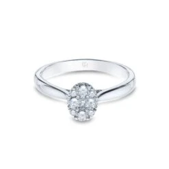 Chisholm Hunter 18ct White Gold Brilliant Cut 0.40ct Diamond Cluster Ring -Chisholm Hunter 1 008 02 0785b