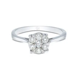 Chisholm Hunter 9ct White Gold Brilliant Cut 0.25ct Diamond Cluster Ring 10 Chisholm Hunter 9ct White Gold Brilliant Cut 0.25ct Diamond Cluster Ring -Chisholm Hunter 1 008 04 0193b 1
