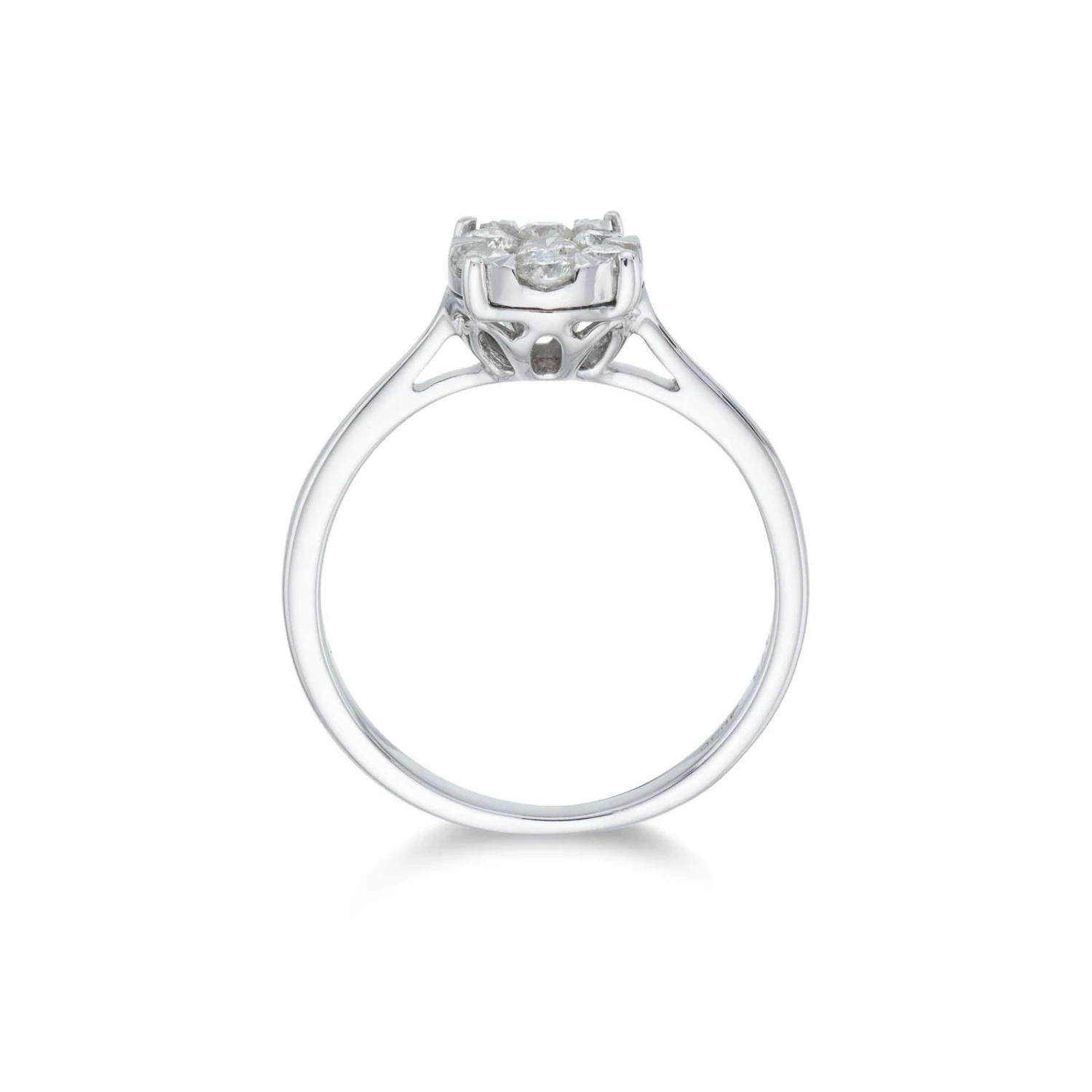 Chisholm Hunter 9ct White Gold Brilliant Cut 0.25ct Diamond Cluster Ring 6 Chisholm Hunter 9ct White Gold Brilliant Cut 0.25ct Diamond Cluster Ring - Image 4