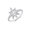 Chisholm Hunter 9ct White Gold Brilliant Cut Diamond 0.45ct Pave Star Ring 1 Chisholm Hunter 9ct White Gold Brilliant Cut Diamond 0.45ct Pave Star Ring -Chisholm Hunter 1 008 04 0217
