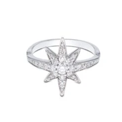 Chisholm Hunter 9ct White Gold Brilliant Cut Diamond 0.45ct Pave Star Ring 11 Chisholm Hunter 9ct White Gold Brilliant Cut Diamond 0.45ct Pave Star Ring -Chisholm Hunter 1 008 04 0217b