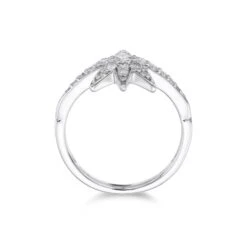 Chisholm Hunter 9ct White Gold Brilliant Cut Diamond 0.45ct Pave Star Ring 13 Chisholm Hunter 9ct White Gold Brilliant Cut Diamond 0.45ct Pave Star Ring -Chisholm Hunter 1 008 04 0217c