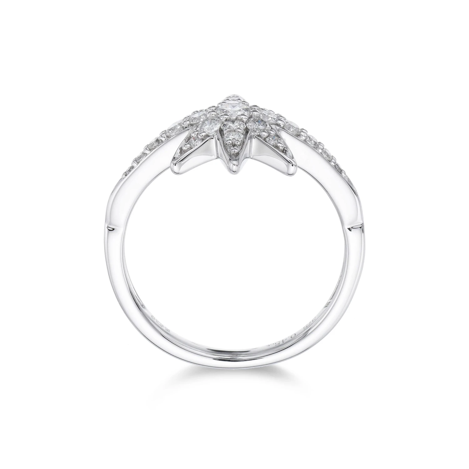 Chisholm Hunter 9ct White Gold Brilliant Cut Diamond 0.45ct Pave Star Ring 7 Chisholm Hunter 9ct White Gold Brilliant Cut Diamond 0.45ct Pave Star Ring - Image 5