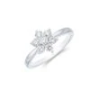 Chisholm Hunter 9ct White Gold Round Brilliant 0.51ct Diamond Flower Cluster Ring 1 Chisholm Hunter 9ct White Gold Round Brilliant 0.51ct Diamond Flower Cluster Ring -Chisholm Hunter 1 008 04 0222 p 1