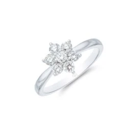 Chisholm Hunter 9ct White Gold Round Brilliant 0.51ct Diamond Flower Cluster Ring