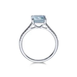 Chisholm Hunter 18ct White Gold 0.14ct Diamond And 2.00ct Aquamarine Solitaire 8 Chisholm Hunter 18ct White Gold 0.14ct Diamond And 2.00ct Aquamarine Solitaire -Chisholm Hunter 1 009 02 0626 d 1
