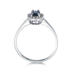 Chisholm Hunter 9ct White Gold 0.50ct Oval Sapphire And 0.55ct Diamond Cluster Ring 12 Chisholm Hunter 9ct White Gold 0.50ct Oval Sapphire And 0.55ct Diamond Cluster Ring -Chisholm Hunter 13 110 03 0087 d 2