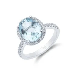 Chisholm Hunter 18ct White Gold Oval Cut Aquamarine 3.85ct Diamond Halo Ring