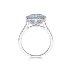 Chisholm Hunter Platinum Oval Cut 3.21ct Aquamarine And 0.52ct Diamond Halo Ring -Chisholm Hunter 13 113 13 0014 d 2 1