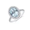 Chisholm Hunter Platinum Oval Cut 3.21ct Aquamarine And 0.52ct Diamond Halo Ring -Chisholm Hunter 13 113 13 0014 p 1 1