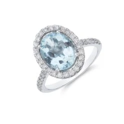 Chisholm Hunter Platinum Oval Cut 3.21ct Aquamarine And 0.52ct Diamond Halo Ring