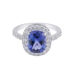 Chisholm Hunter -Chisholm Hunter 13 114 15 0018