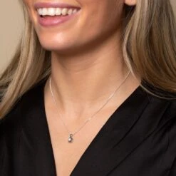 Chisholm Hunter 18ct White Gold Brilliant Cut 0.30ct Diamond Pendant -Chisholm Hunter 15 119 01 0002 18ct white gold brilliant cut 0.30ct diamond pendant 1