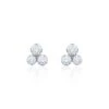 Chisholm Hunter 18ct White Gold 0.65ct Round Brilliant Fancy Cluster Diamond Earrings -Chisholm Hunter 15 121 02 0192