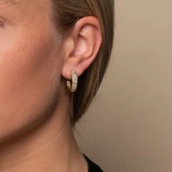 Chisholm Hunter 9ct Yellow Gold Brilliant Cut Diamond 0.70ct Pave Hoop Earrings -Chisholm Hunter 15 121 16 0027