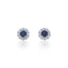 Chisholm Hunter 9ct White Gold Diamond 0.17ct And Sapphire Halo Earrings