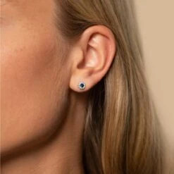 Chisholm Hunter 9ct White Gold Diamond 0.17ct And Sapphire Halo Earrings -Chisholm Hunter 16 125 05 0044 lifestyle