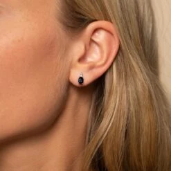 Chisholm Hunter 9ct White Gold Diamond 0.10ct And Sapphire Earrings 9 Chisholm Hunter 9ct White Gold Diamond 0.10ct And Sapphire Earrings -Chisholm Hunter 16 125 05 0045 lifestyle