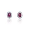 Chisholm Hunter 9ct White Gold Diamond 0.23ct And Ruby Halo Earrings -Chisholm Hunter 16 126 05 0031