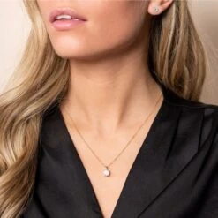 Chisholm Hunter -Chisholm Hunter 17 137 05 0010 ls 1