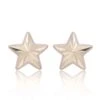 Chisholm Hunter 9ct Yellow Gold Diamond Cut Star Stud Earrings -Chisholm Hunter 18 143 05 0003 1