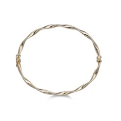 Chisholm Hunter 9ct Yellow Gold Plain Twist Bangle -Chisholm Hunter 18 145 02 0042 d 1