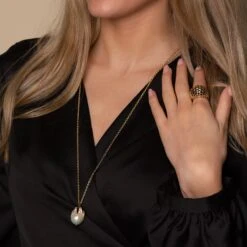 Chisholm Hunter -Chisholm Hunter 19 148 05 0004 1