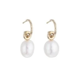 Chisholm Hunter 14ct Yellow Plated Silver Pearl Drop Earrings