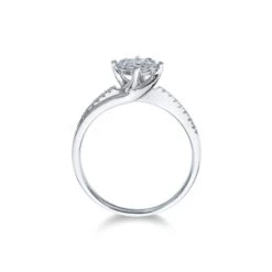 Chisholm Hunter 9ct White Gold Brilliant Cut 0.30ct Diamond Cluster Ring 13 Chisholm Hunter 9ct White Gold Brilliant Cut 0.30ct Diamond Cluster Ring -Chisholm Hunter 4 136 05 1302d