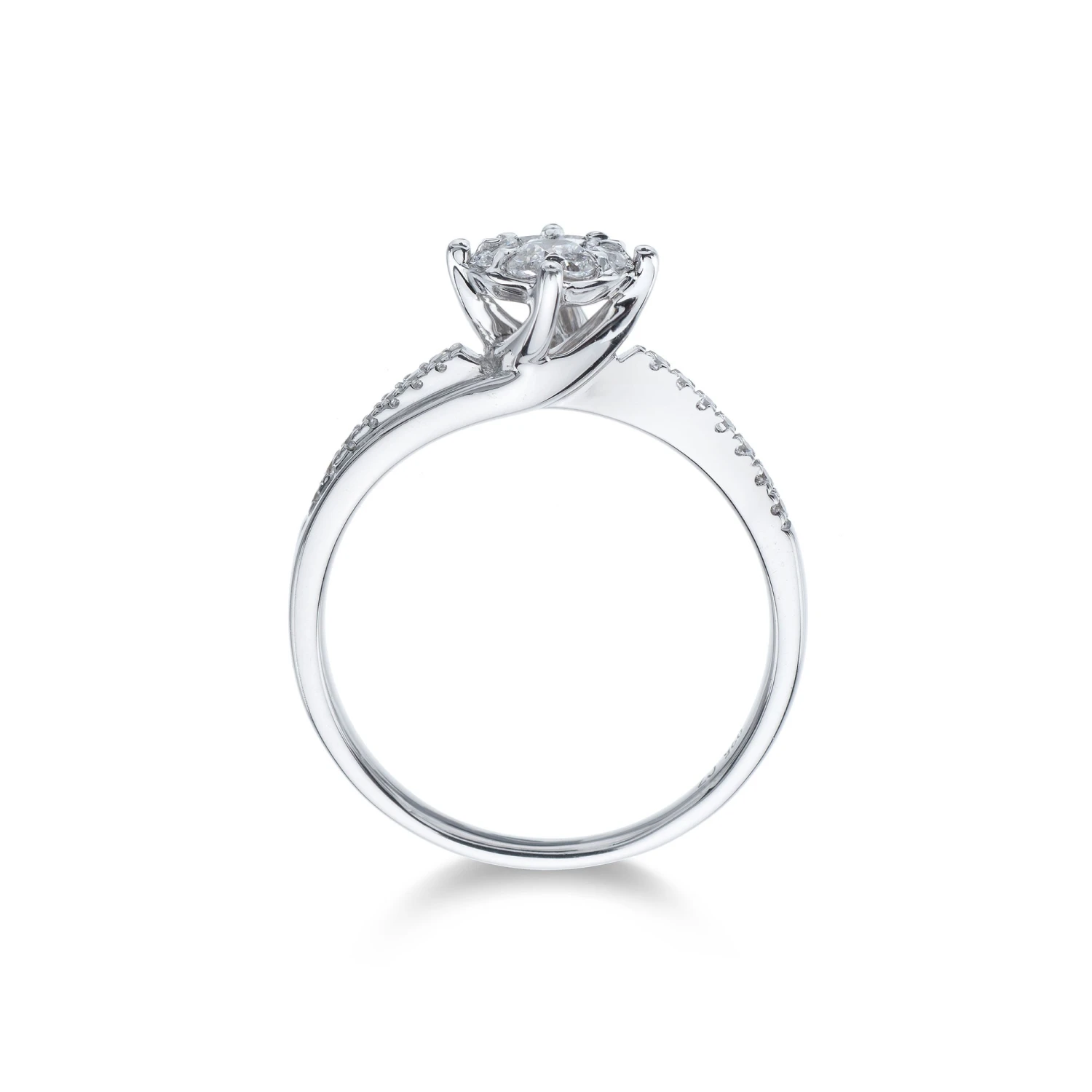 Chisholm Hunter 9ct White Gold Brilliant Cut 0.30ct Diamond Cluster Ring 6 Chisholm Hunter 9ct White Gold Brilliant Cut 0.30ct Diamond Cluster Ring - Image 4