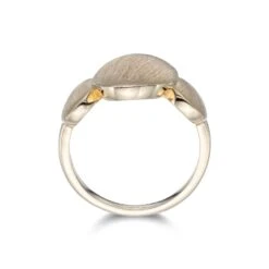 Chisholm Hunter Yellow Gold Plated Triple Brushed Ring -Chisholm Hunter 4 139 01 0050 d 1