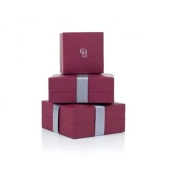 Chisholm Hunter 9ct Yellow Gold Pear Cut Ruby And 0.07ct Diamond Halo Stud Earrings -Chisholm Hunter chpackaging p 34