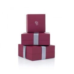 Chisholm Hunter 9ct White Gold 0.06ct Ruby And Diamond Halo Pendant -Chisholm Hunter packaging chisholm hunter box 3 4