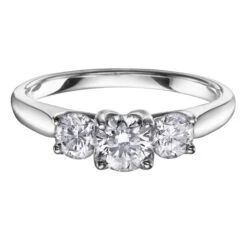 Chisholm Hunter Platinum Brilliant Cut 1.00ct Diamond Three Stone Ring -Chisholm Hunter r3342wg.jpg